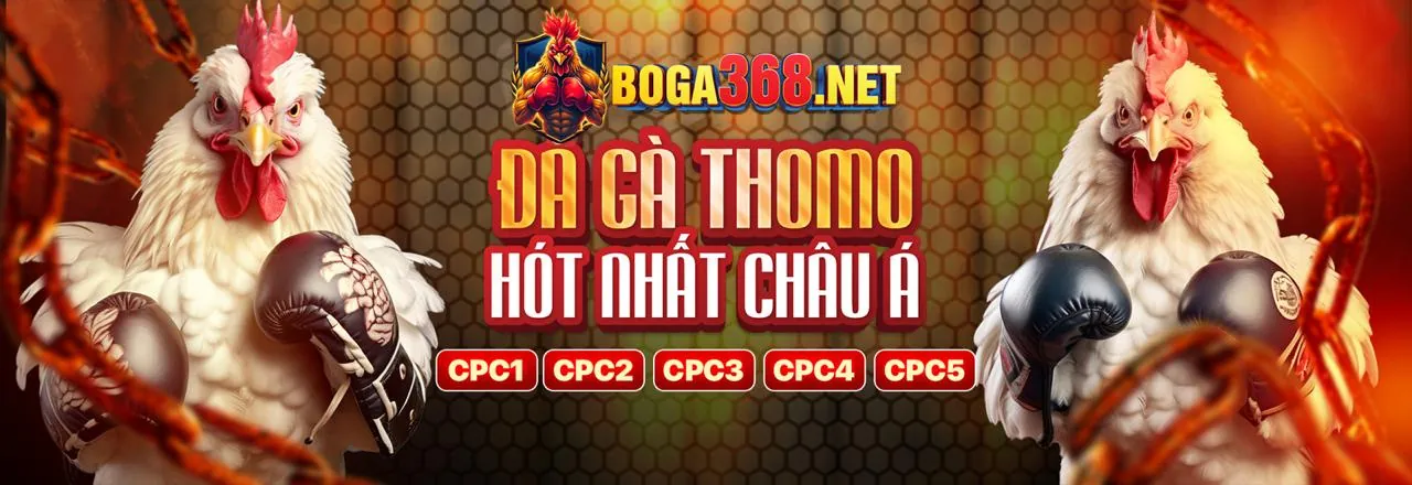 Lịch sử phát triển của bet169 kèo nhà cái